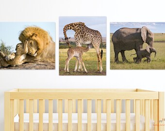 Safari Animal Nursery Prints: Baby Elephant, Lion, Giraffe Art