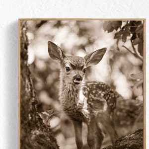 Baby Deer Nursery Print, Woodland Animal Nursery Decor, Fawn Print, Baby Animal Print, Animal Nursery Wall Art, Baby Room, Forest Animal