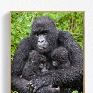 Dschungel Kinderzimmer Druck, Gorilla Geschenk, Affe Kinderzimmer, Baby Tier Druck, Zwillinge Kinderzimmer Wandkunst, Zwilling Baby Zimmer Dekor, Affe Kinderzimmer