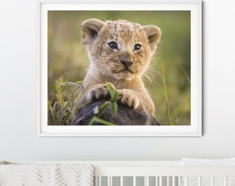 Safari Nursery Decor / Baby Lion Print / Safari Nursery Art / Baby Animal Photo / Kids Room Decor / Nursery Wall Art / Lion / Safari Nursery