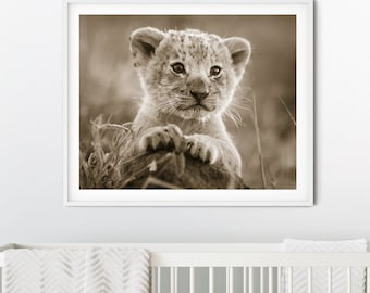 Safari Nursery Decor / Baby Lion / Lion Print / Safari Nursery Art / Safari Animals / Safari Baby Shower / Animal Nursery Decor / Zoo Animal