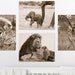 Animaux de safari bébé pour art mural animal de pépinière, décor de pépinière, ensemble d'impression de pépinière, thème de safari, impression d'éléphant, lion, guépard, girafe, enfant