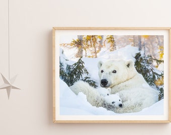 Baby Animal Nursery Print  / Polar Bear / Polar Bear Cub / Animal Nursery Decor / Kids Room Decor / Baby Shower Gift / Safari Nursery Art