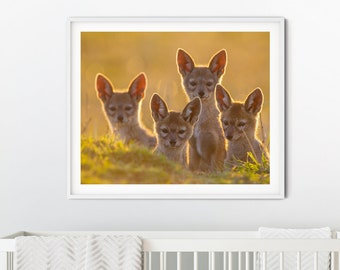 Jackal Pups Nursery Print: Baby Animal Wall Art