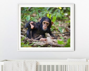 Baby Chimp Trivet