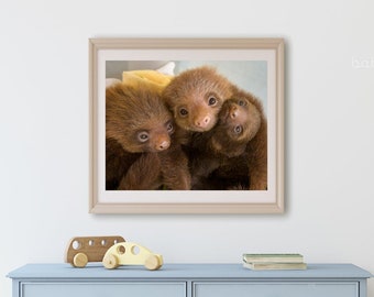 Baby Sloth Nursery Print, Animal Nursery Art, Sloth Art, Sloth Gift, Sloth Nursery, Animal Wall Art Nursery, Printed Animals Nursery, Zoo