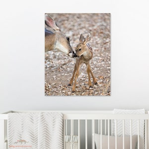 Baby Animal Nursery Print, Fawn Print, Baby Deer, Woodland Theme, Woodland Animals, Woodland Nursery Decor, Nursery Wall Art, Deer Gift, Kid