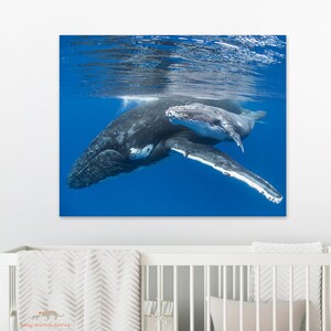 Ocean Nursery Decor / Baby Whale / Whale Print / Whale Art / Baby Animal Nursery Art / Ocean Wall Art / Ocean Nursery Art / Ocean Animals
