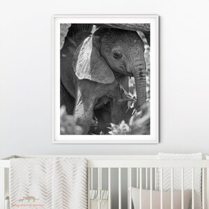 Elephant Nursery Art, Baby Elephant Print, Elephant Theme, Safari Animals Wall Art, Baby Room Decor, Elephant Baby Gift, Zoo Animal Theme
