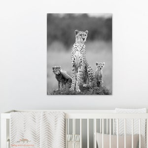 Safari Nursery Art / Cheetah / Safari Animals / Safari Baby Shower / Animal Nursery / Baby Animal Print / Baby Cheetah / Nursery Decor / Zoo