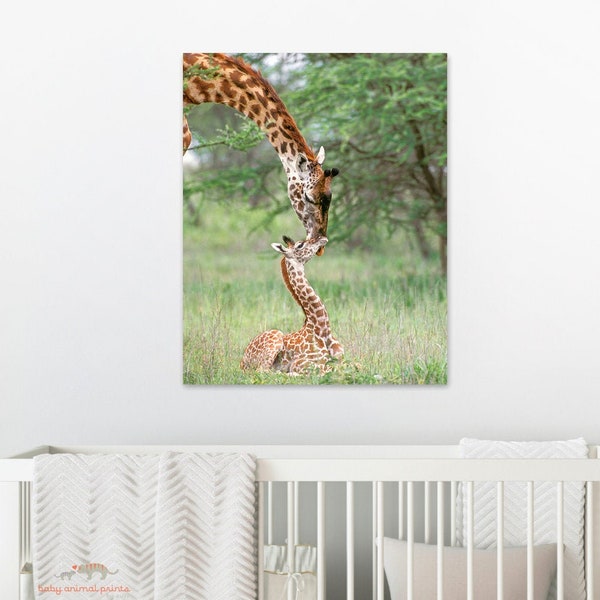 Giraffe Nursery Art, Baby Giraffe Print, Safari Nursery Decor, Safari Animal, Safari Kids Room, Giraffe Gift, Giraffe Decor, Safari Wall Art