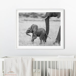 Elephant Nursery Print, Baby Elephant Art, Safari Animal Nursery Decor Theme, Safari Animal Print, Baby Animal, Baby Room Decor, Zoo Animal