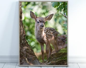 Woodland Animal Prints, Fawn Print, Deer Nursery Art, Woodland Animal Nursery Decor, Baby Animal Print, Forest Animal, Woodland Theme, Deer