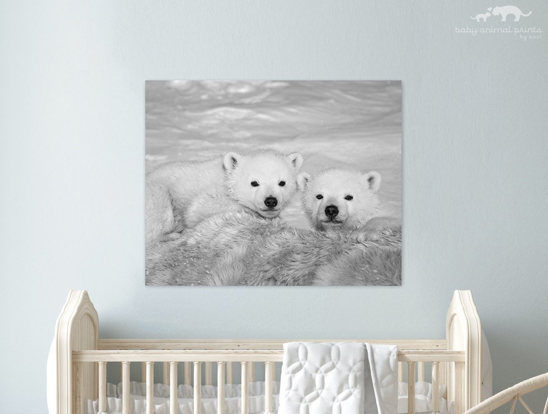 Polar Bear Cub Photo Print: Black and White Animal Nursery Art - Etsy