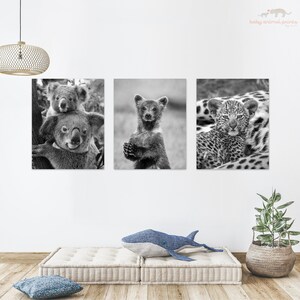 May include: A set of three black and white prints featuring baby animals. The first print shows a mother and baby koala, the second print shows a baby bear, and the third print shows a baby leopard.