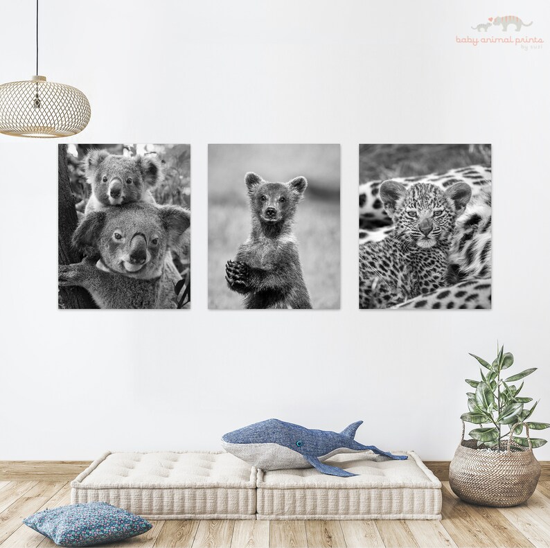 May include: A set of three black and white prints featuring baby animals. The first print shows a mother and baby koala, the second print shows a baby bear, and the third print shows a baby leopard.