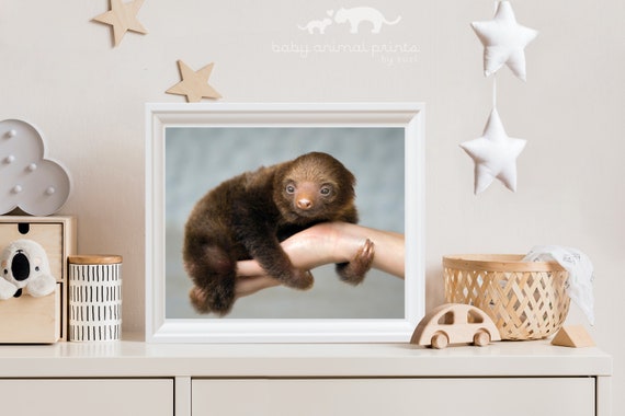 baby animal wall art