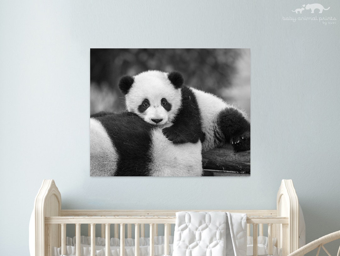 Panda Nursery Art / BABY PANDA Print / Baby Animal Print / Animal Wall ...