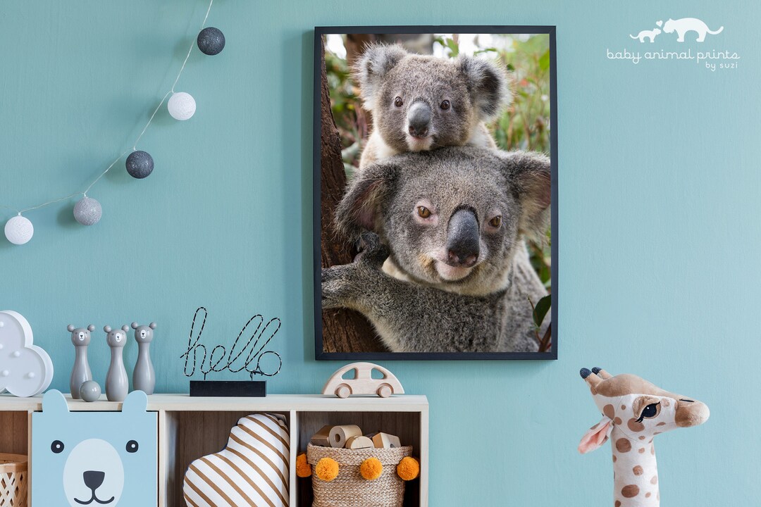 Baby Animals Wall Art, Baby Koala Nursery Print, Nursery Decor, Baby ...