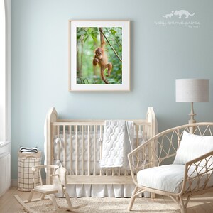 May include: A nursery room with a white crib, a rocking horse, a wicker chair, and a framed print of an orangutan hanging from a tree branch. The walls are painted a light blue color.