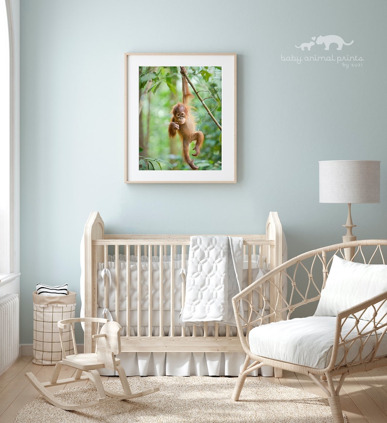 May include: A nursery room with a white crib, a rocking horse, a wicker chair, and a framed print of an orangutan hanging from a tree branch. The walls are painted a light blue color.