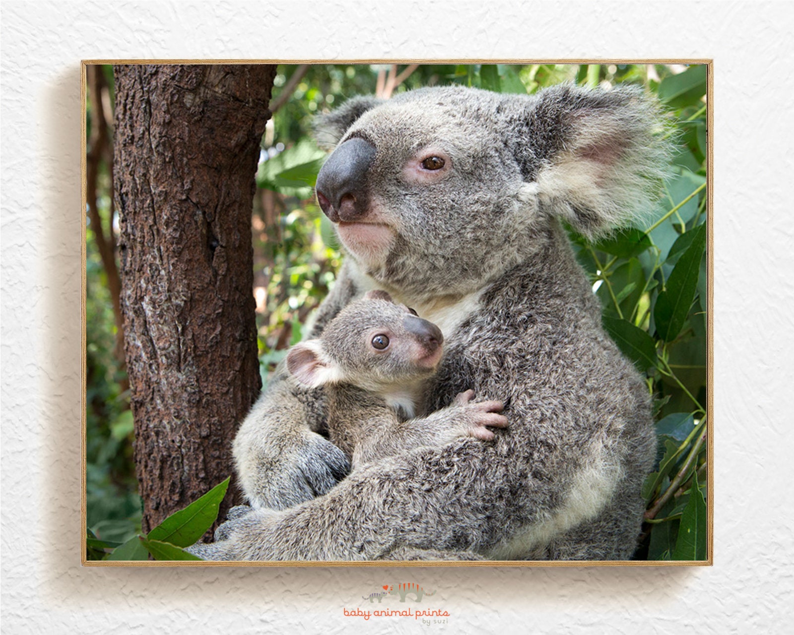 Animal Picture on Canvas, Cute Baby Koala, Landscape Animals on Canvas,  Animal Canvas Wall Art Picture for Living Room Office Decor, 70 x 100 cm  (28 x 40 inches) Frameless : 