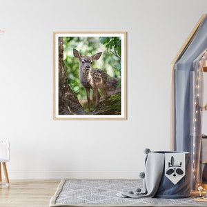 May include: A framed photograph of a young fawn standing in a forest setting. The fawn is brown with white spots and has large, dark eyes. The background is a blurred image of green leaves and trees.