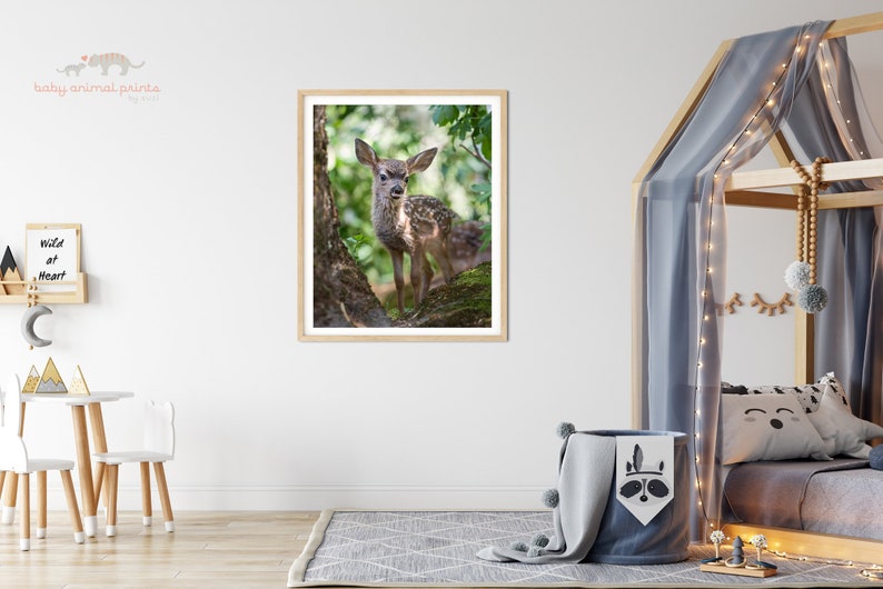 May include: A framed photograph of a young fawn standing in a forest setting. The fawn is brown with white spots and has large, dark eyes. The background is a blurred image of green leaves and trees.