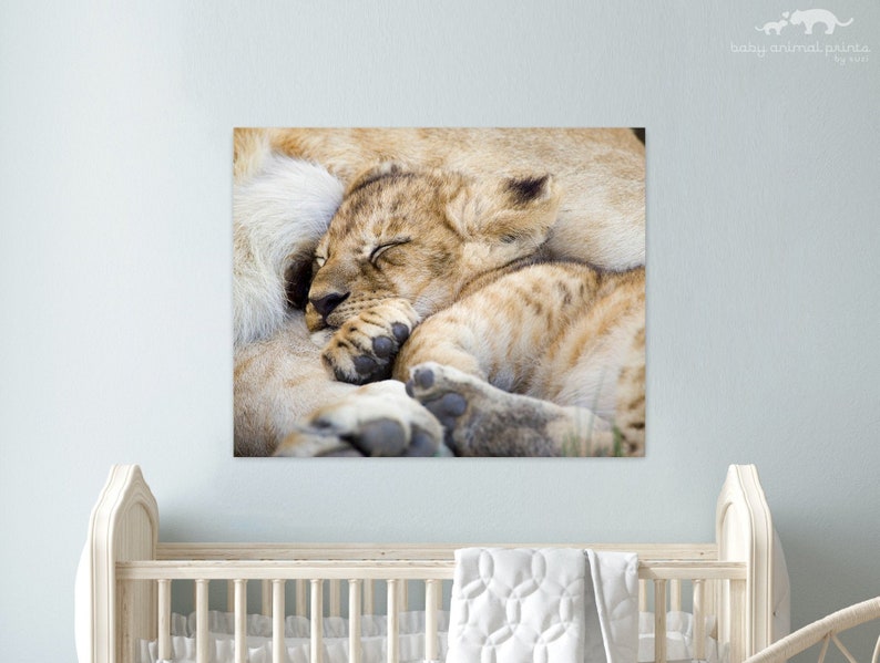 lion nursery decor