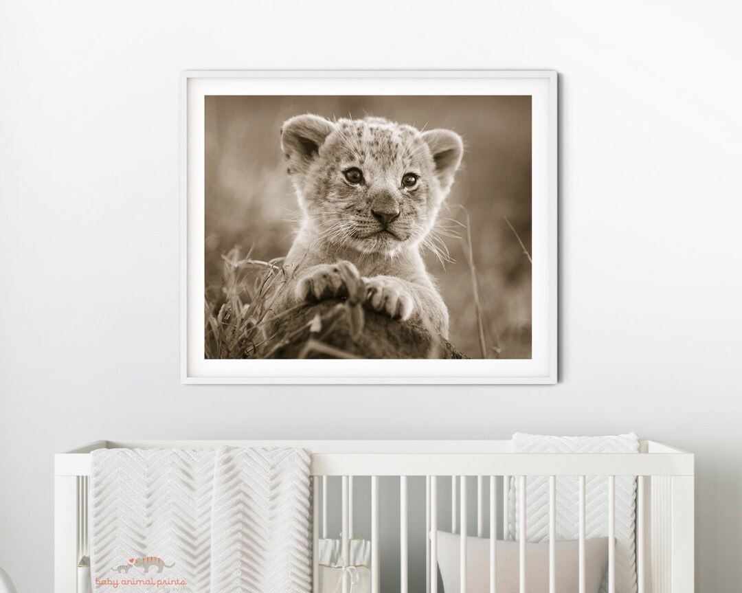 Safari Nursery Decor / Baby Lion / Lion Print / Safari Nursery Etsy