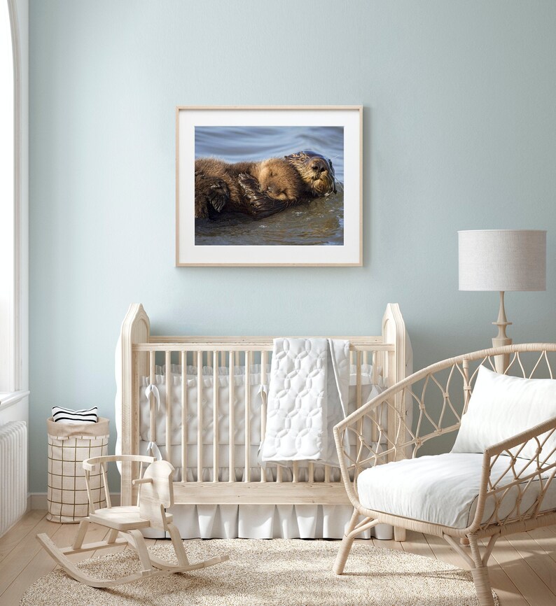 Download Baby Animal Nursery Art / Baby Sea Otter Photo / Sea Otter ...