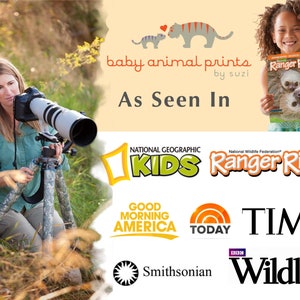 Safari Baby Animal Print, Baby Elephant Print, Safari Kids Room Art Gift, Safari Nursery Art, Baby Animal Nursery Decor, Elephant Gift, Zoo image 7