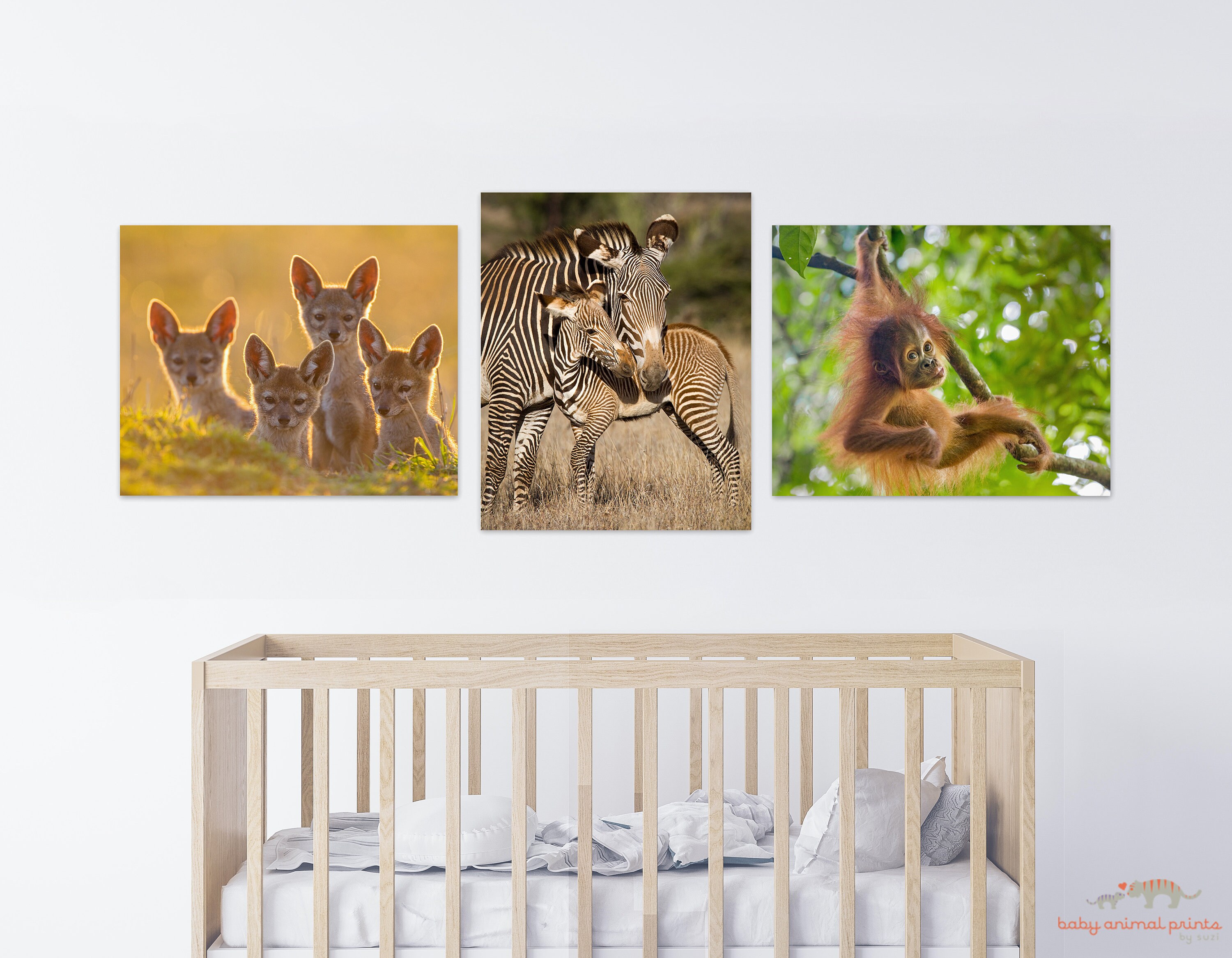 Zoo Animal Nursery Print Nursery Wall Art Zoo Nursery Decor Etsy
