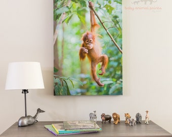 Baby Orangutan Print: Jungle Nursery Art, Animal Nursery Decor, Baby Animal Print, Animal Wall Art, Jungle Theme, Monkey Nursery Print