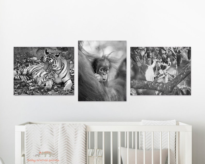 Safari Animal Nursery Art Lemur Zoo Animals Animal Nursery Decor Safari Nursery Safari Baby Shower Nursery Decor Kids Room