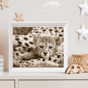 Baby Cheetah Print, Baby Animal Nursery Art, Animal Nursery Decor, Baby Animal Print, Kids Room Decor, Safari Animal, Safari Baby Shower image 5