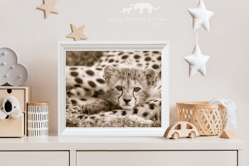 Baby Cheetah Print, Baby Animal Nursery Art, Animal Nursery Decor, Baby Animal Print, Kids Room Decor, Safari Animal, Safari Baby Shower image 5