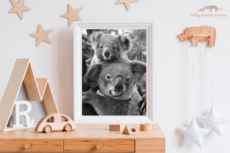 May include: Black and white photo of two koalas, one sitting on top of the other, looking at the camera. The photo is framed in a white frame and is hanging on a white wall.