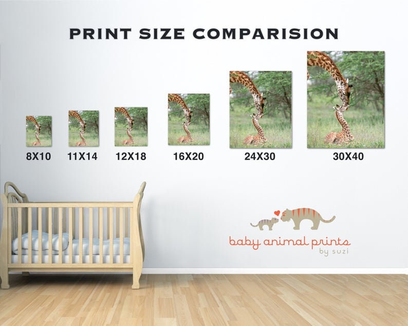 Baby Safari Animals for Nursery Animal Wall Art, Nursery Decor, Nursery Print Set, Safari Theme, Elephant Print, Lion, Cheetah, Giraffe, Kid image 8