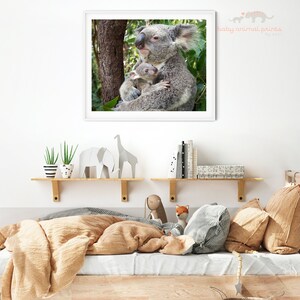Konsttryck med koalaunge: Australisk djurdekoration för barnrum bild 4