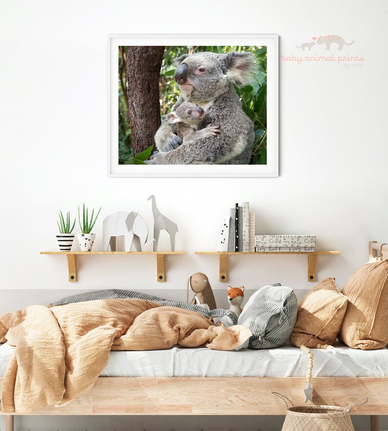 Konsttryck med koalaunge: Australisk djurdekoration för barnrum bild 4