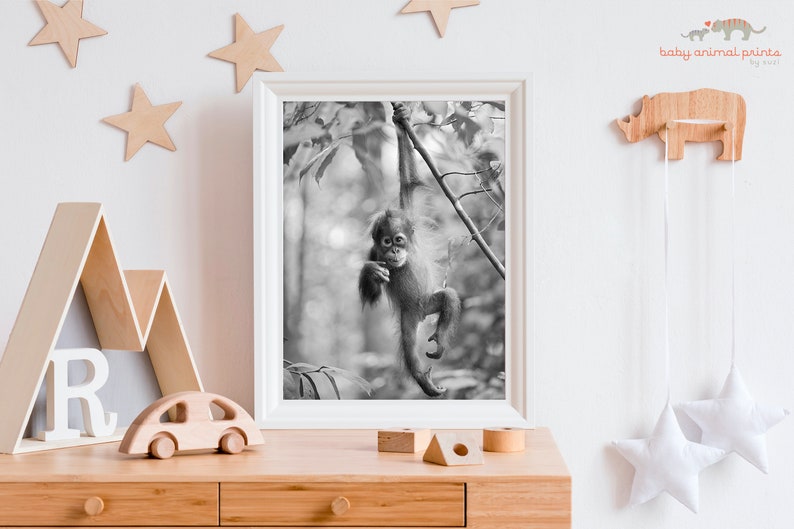 Baby Animal Nursery Art / Baby Orangutan / Jungle Nursery / Animal Nursery Decor / Nursery Wall Art / Baby Monkey / Baby Animal Print / Zoo image 4