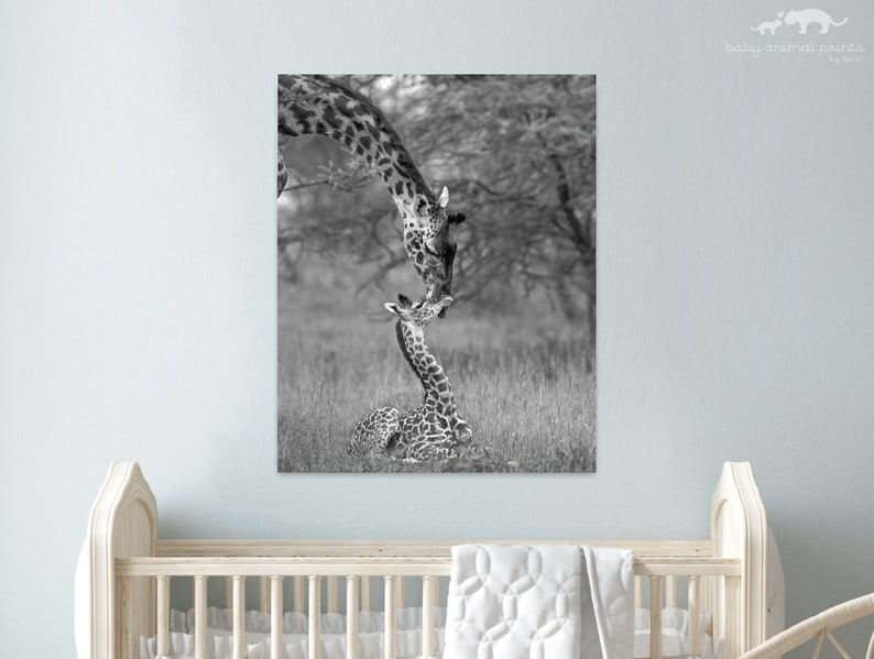 Safari Animal Nursery Art / Baby Giraffe Print / Animal Nursery Decor / Baby Animal Print / Nursery Wall Art / Kids Room Decor / Zoo Animals image 1