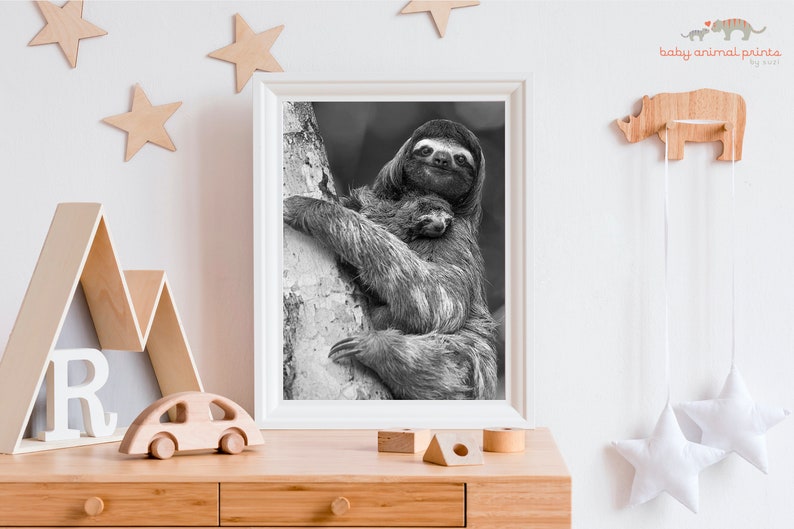 Nursery Decor / Sloth / Sloth Gift / Baby Nursery / Baby Animal Print / Jungle Nursery Art / Childrens Room Decor / Baby Shower / Wildlife image 1