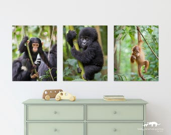 Jungle Nursery Prints, Set of 3, Monkey Nursery, Baby Animal Nursery Art, Jungle Animal Nursery Art, Jungle Decor, Gorilla, Orangutan