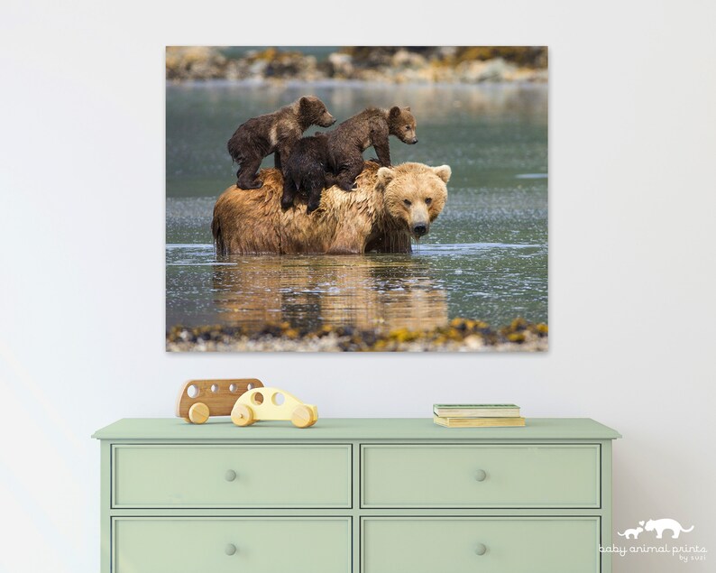 Baby Bear Nursery Print Nursery Art Woodland Animals Baby Etsy
