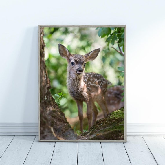 Fawn Print: Woodland Animal Nursery Art by Suzi Eszterhas