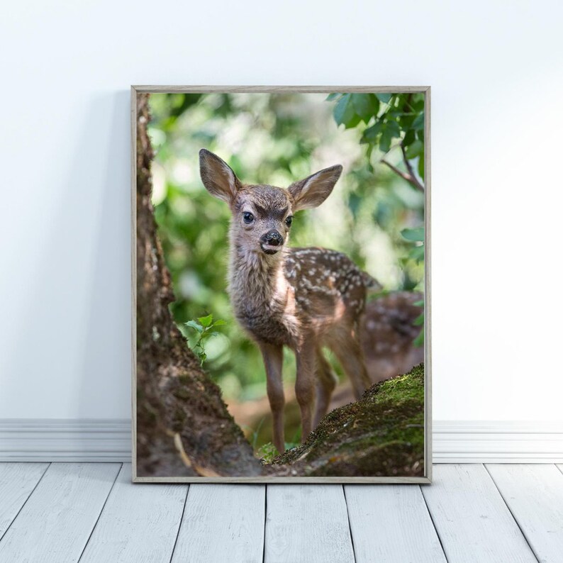 May include: A young fawn with brown and white spotted fur stands on a mossy log in a forest setting. The fawn is looking directly at the camera with its large, dark eyes.