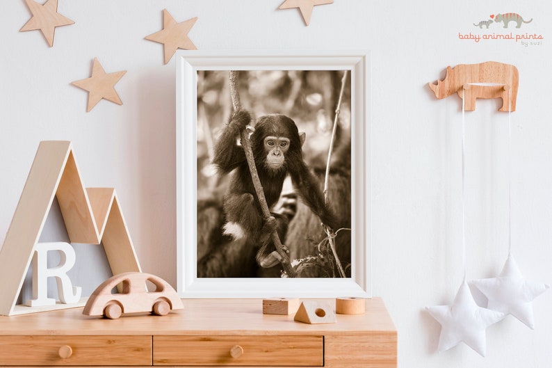 Safari Nursery Art / Baby Chimpanzee / Chimp / Baby Animal Nursery Art / Safari Animal Wall Art / Animal Nursery / Baby Animal Print / Zoo image 1