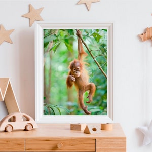 May include: A framed print of an orangutan baby hanging from a branch in a lush green jungle. The orangutan is looking at the camera with a curious expression.